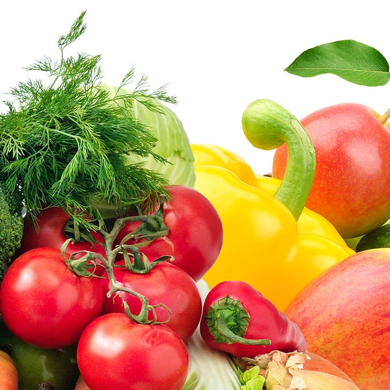 Nutrition programmes